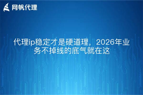 代理ip稳定才是硬道理,2026年业务不掉线的底气就在这