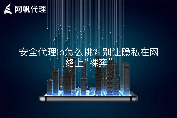 安全代理ip怎么挑？别让隐私在网络上“裸奔”