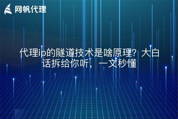 代理ip的隧道技术是啥原理？大白话拆给你听，一文秒懂
