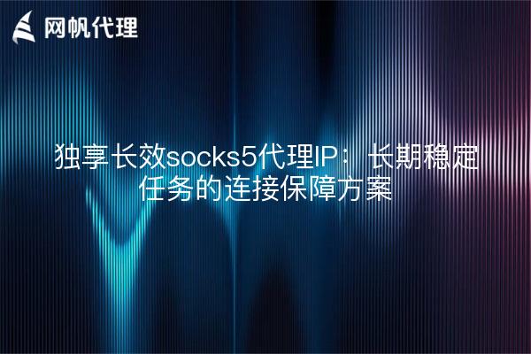 独享长效socks5代理IP：长期稳定任务的连接保障方案