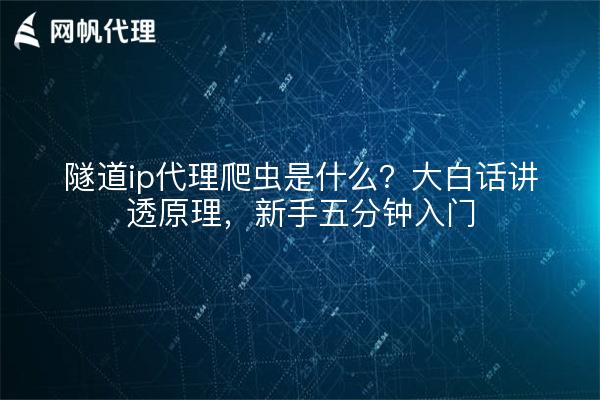 隧道ip代理爬虫是什么?大白话讲透原理,新手五分钟入门